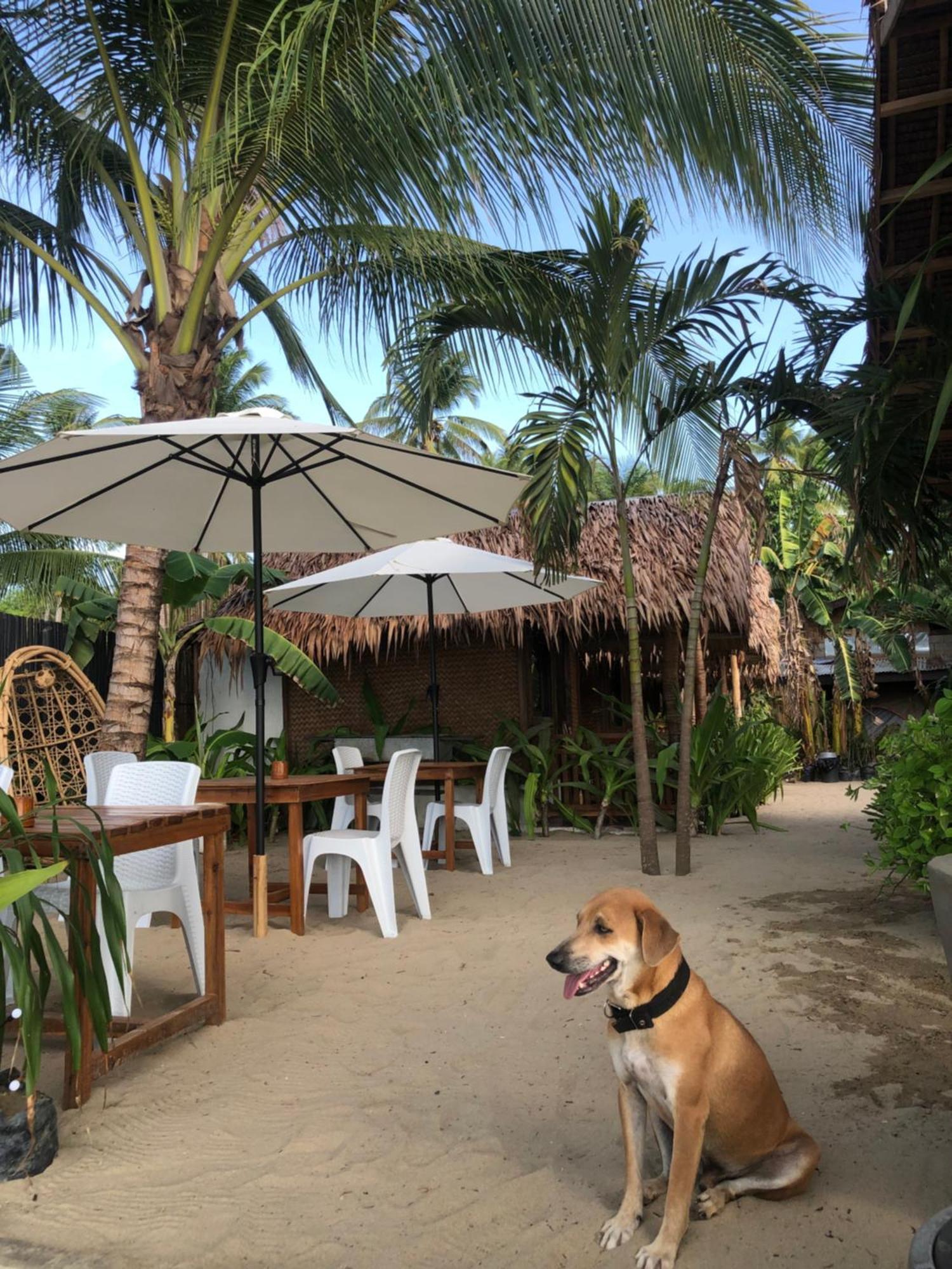 Zhaya'S Beach & Cottages El Nido Exteriér fotografie